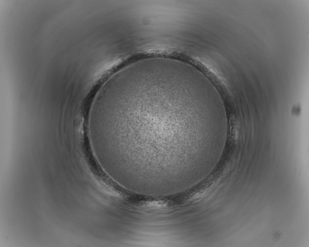 X0000091000692200708161938