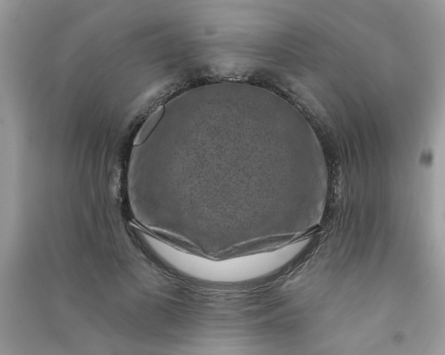 X0000091000693200708161938