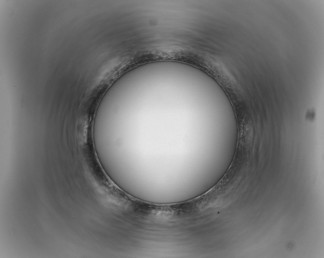 X0000091000694200708161938
