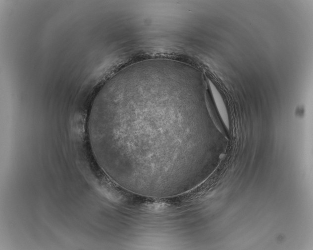 X0000091000695200708161938