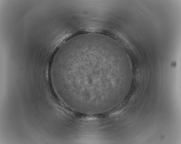 X0000091000696200708161938