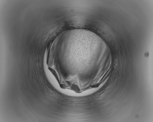 X0000091000697200708161938