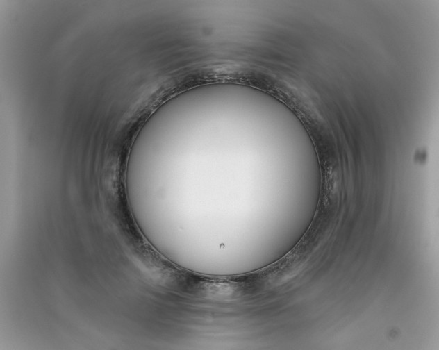 X0000091000698200708161938