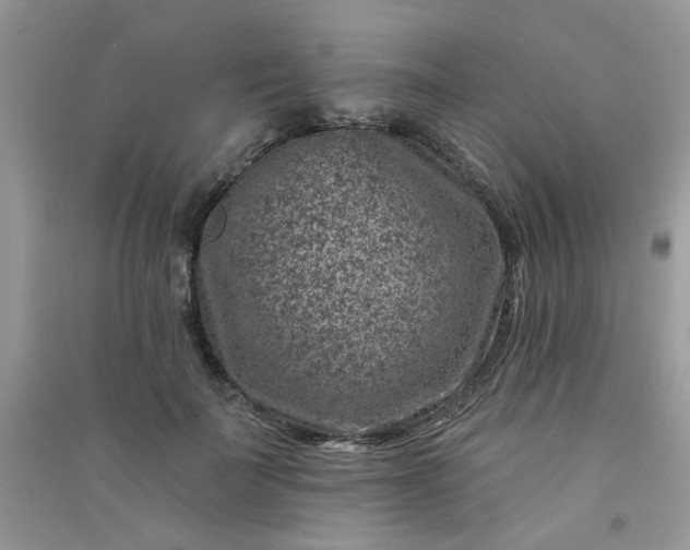 X0000091000699200708161938