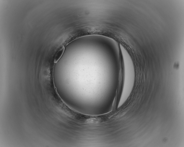 X0000091000700200708161938