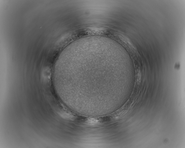 X0000091000701200708161938