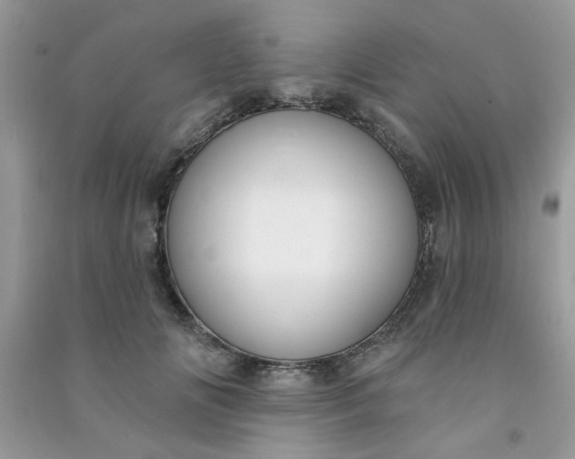 X0000091000702200708161938