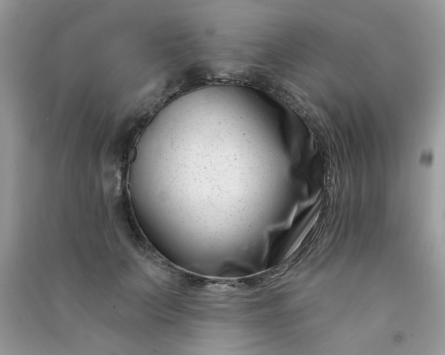X0000091000703200708161938