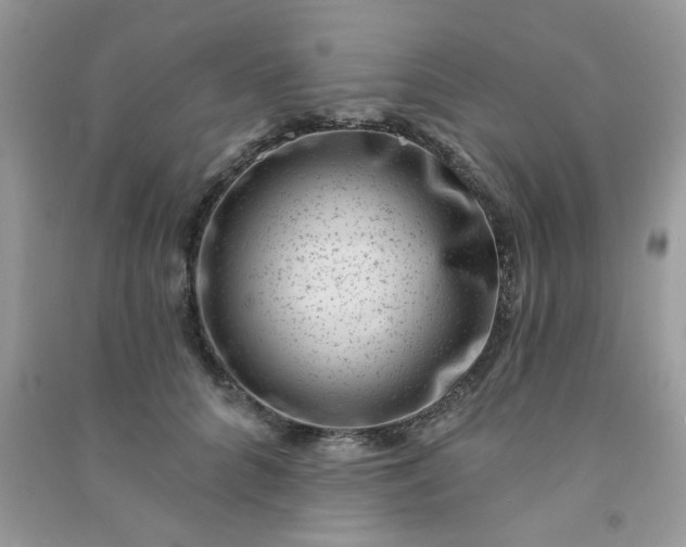X0000091000704200708161938