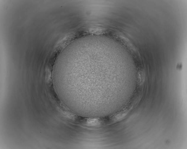 X0000091000705200708161938
