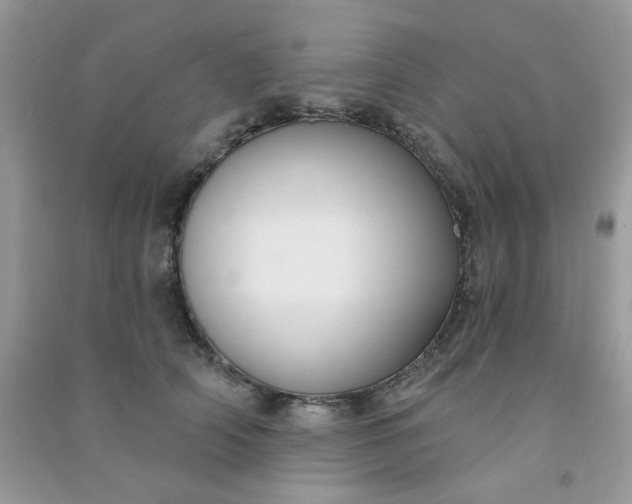 X0000091000706200708161938