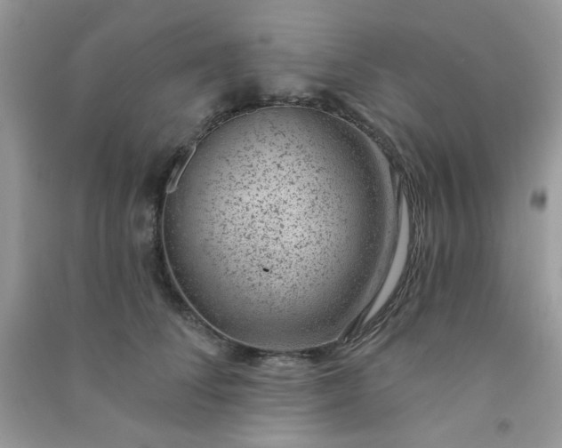 X0000091000708200708161938