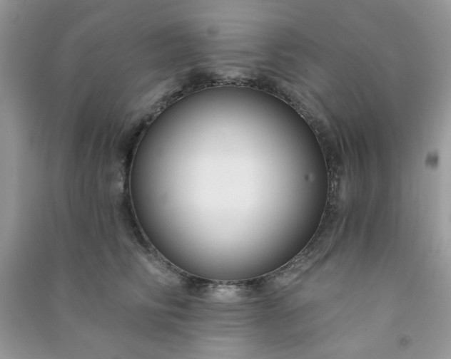 X0000091000710200708161938