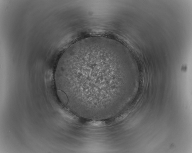 X0000091000711200708161938