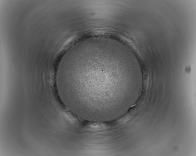 X0000091000712200708161938