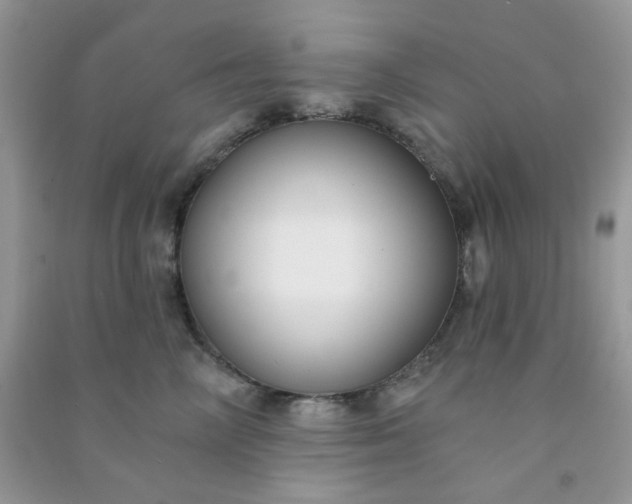 X0000091000714200708161938