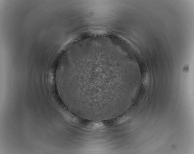 X0000091000715200708161938