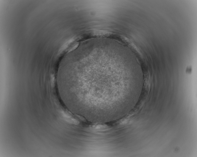 X0000091000716200708161938