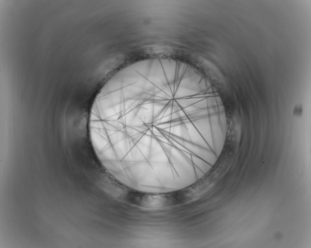 X0000091000717200708161938