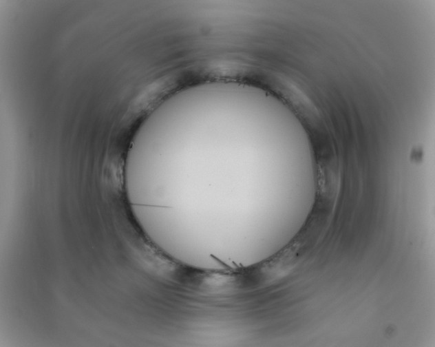 X0000091000718200708161938