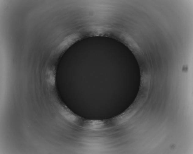 X0000091000719200708161938