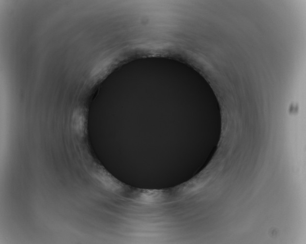 X0000091000720200708161938