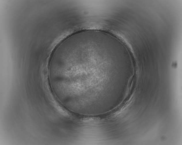 X0000091000721200708161937