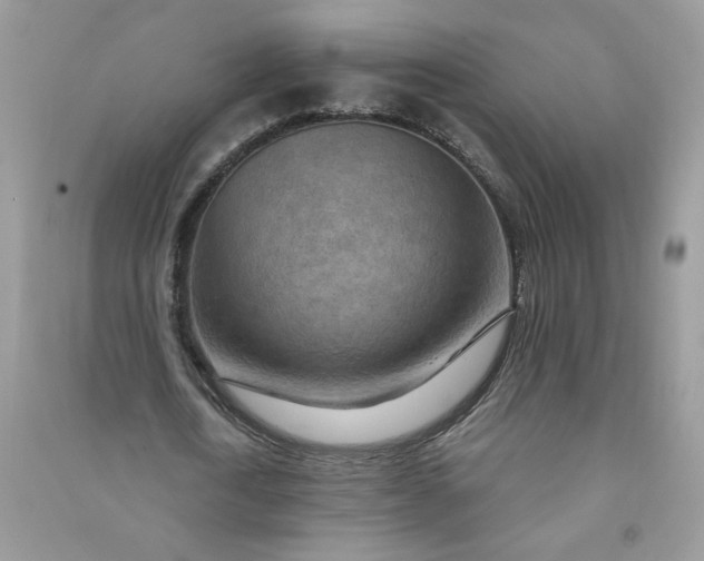 X0000091000722200708161937