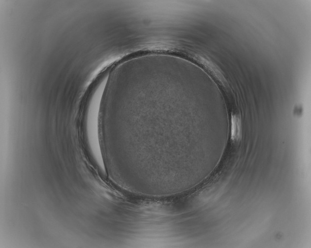 X0000091000723200708161937