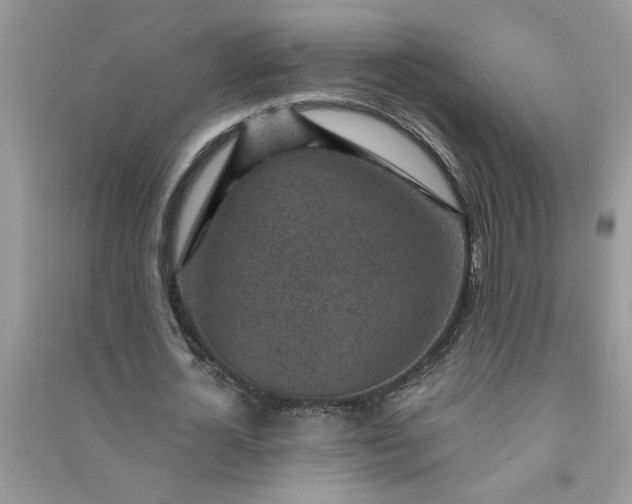 X0000091000724200708161937