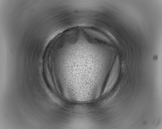 X0000091000725200708161937