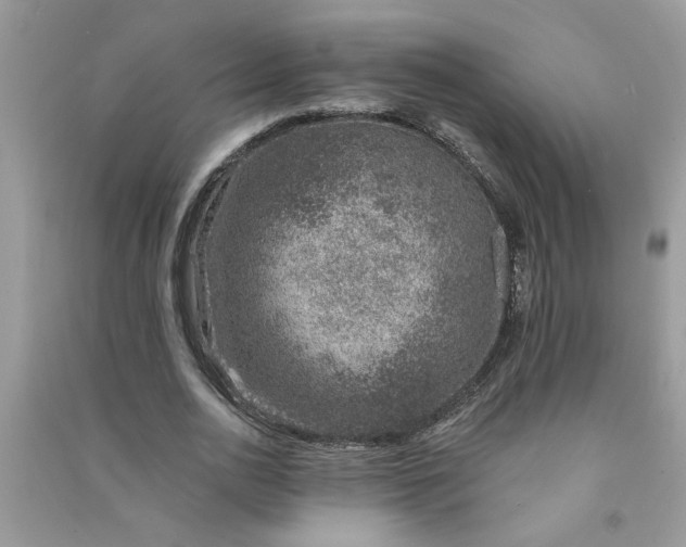X0000091000726200708161938