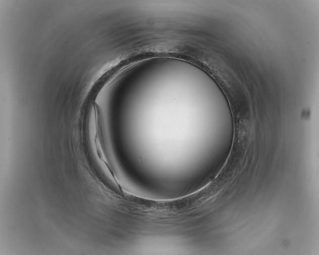 X0000091000727200708161938