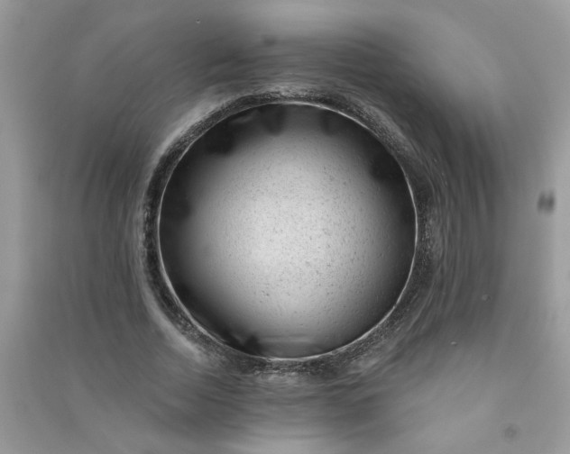 X0000091000730200708161938