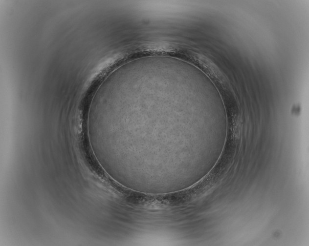 X0000091000731200708161938