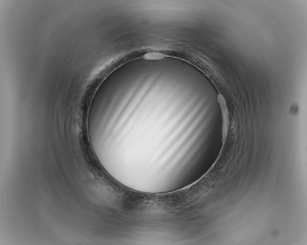 X0000091000732200708161938