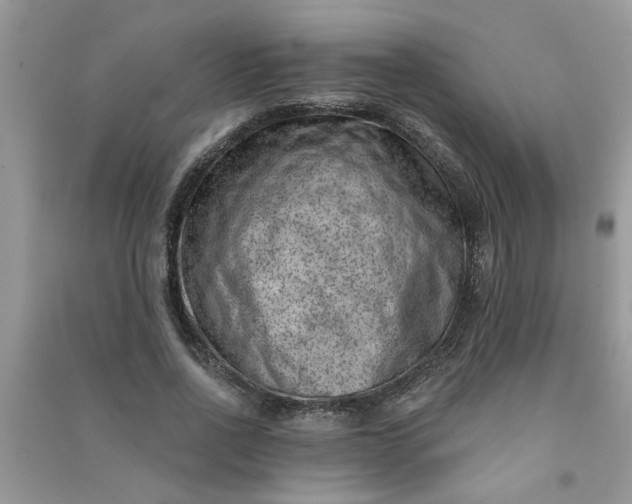 X0000091000734200708161938