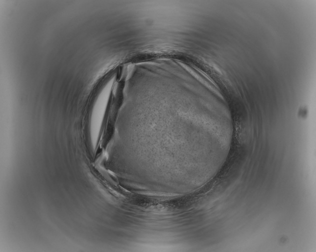 X0000091000735200708161938