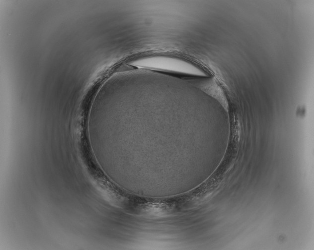 X0000091000736200708161938