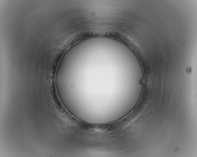X0000091000737200708161938