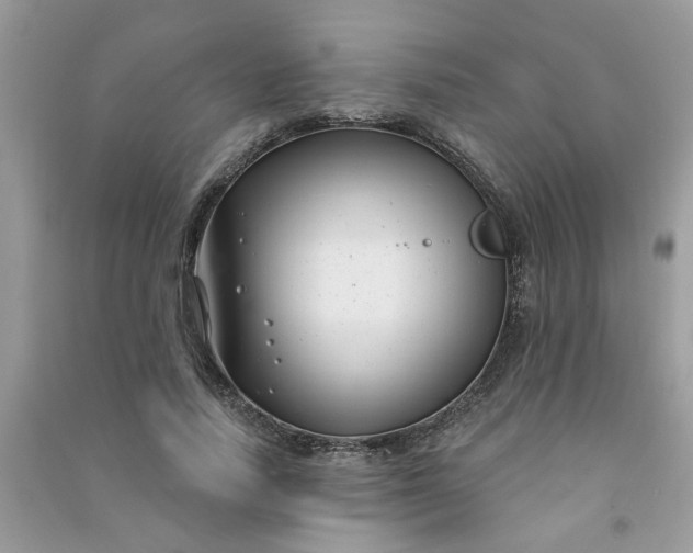 X0000091000738200708161938