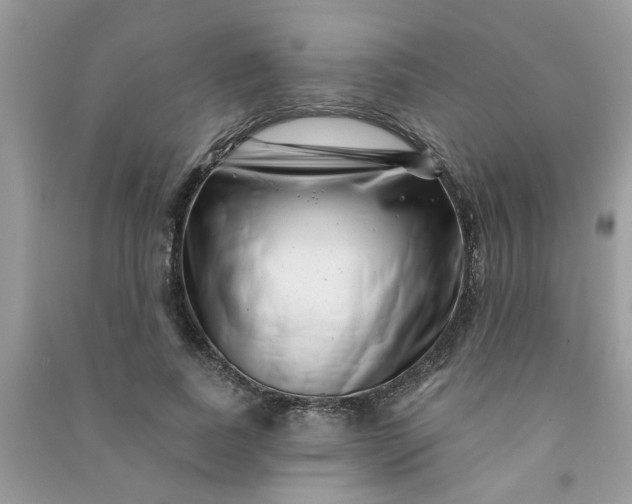 X0000091000739200708161938