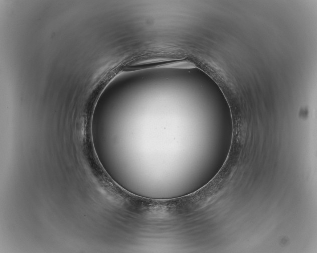 X0000091000740200708161938