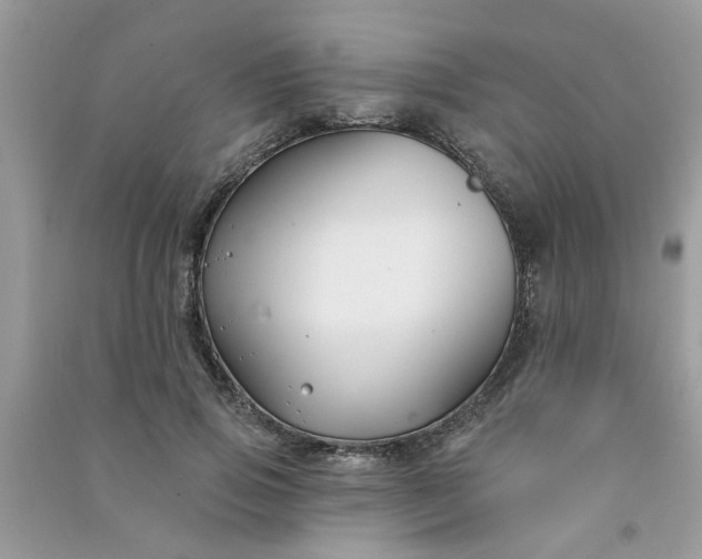 X0000091000741200708161938