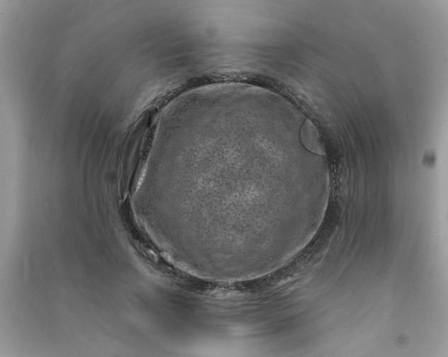 X0000091000742200708161938