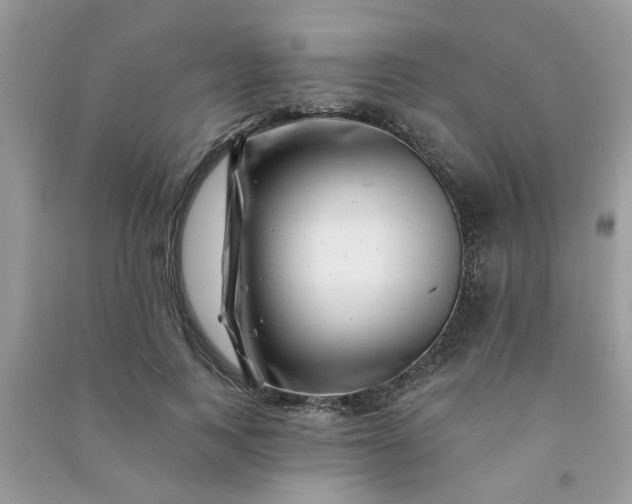 X0000091000743200708161938