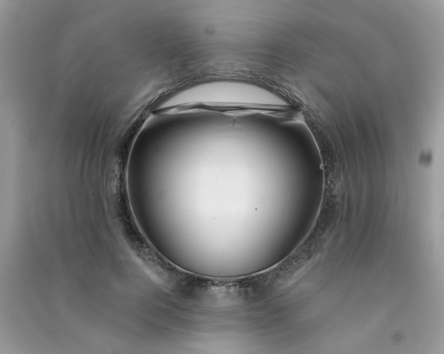 X0000091000744200708161938
