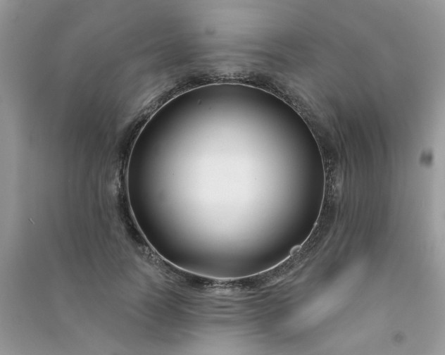 X0000091000746200708161938