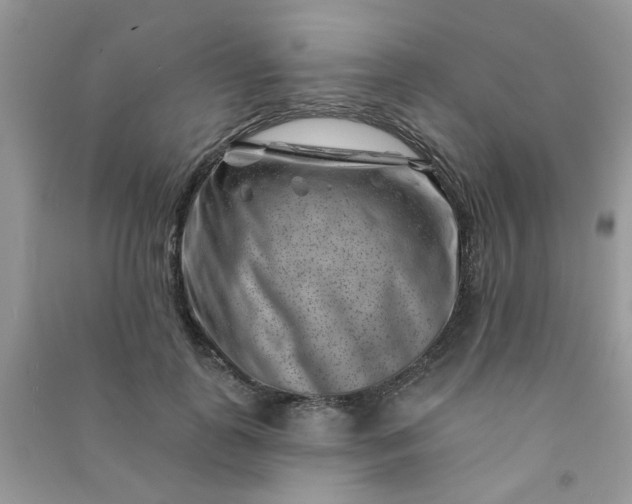 X0000091000747200708161938