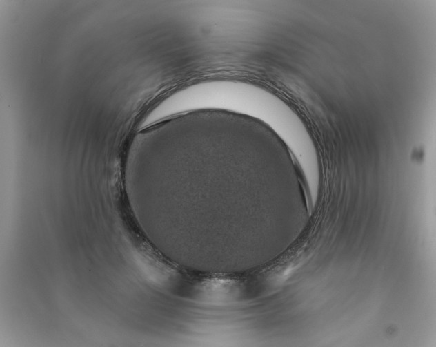 X0000091000748200708161938
